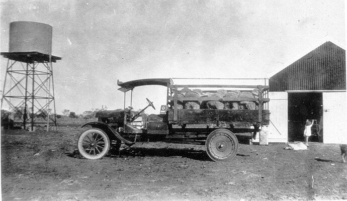 1918 T Model Ford truck with load of rams on way to Moree Show.jpg